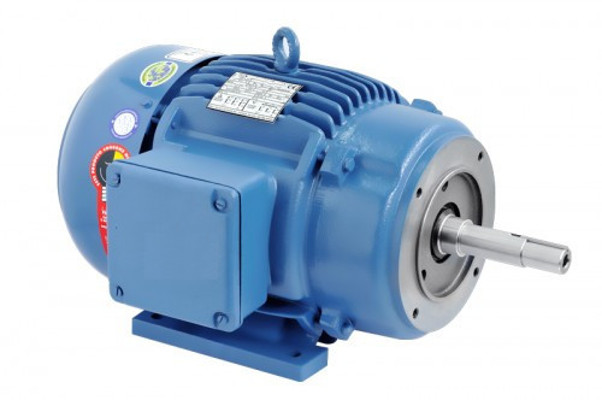 Motor Elétrico Voges - Motor Trifásico para Bombas